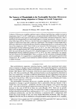 The Turnover of Phospholipids in the Psychrophilic