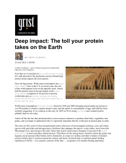 Deep impact: The toll your protein takes on the