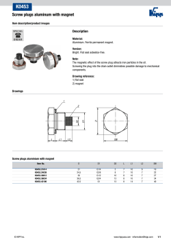 Screw plugs aluminum with magnet