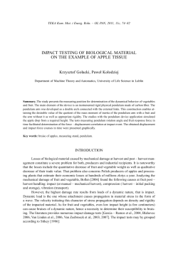 impact testing of biological material on the example of apple tissue