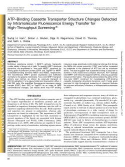ATP–Binding Cassette Transporter Structure Changes Detected by