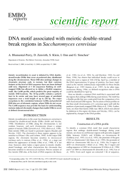 DNA motif associated with meiotic double