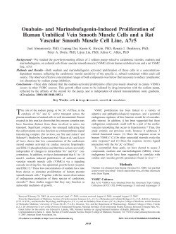 Ouabain- and Marinobufagenin-Induced Proliferation of Human