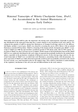 Maternal Transcripts of Mitotic Checkpoint Gene, Xbub3, Are