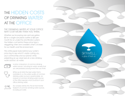 Read the Skywell White Paper
