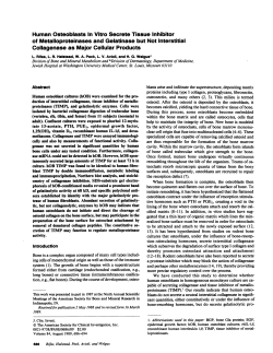 Human Osteoblasts In Vitro Secrete Tissue Inhibitor of