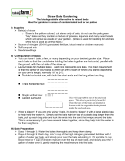 Straw bale gardening