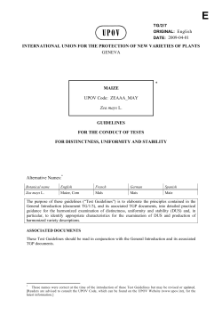 Maize UPOV