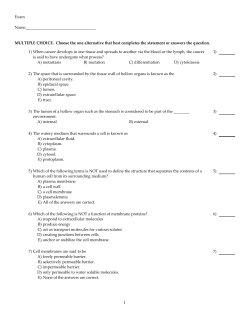 - Academy Test Bank