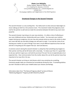 Prairie Love Midwifery Emotional Changes in the Second Trimester