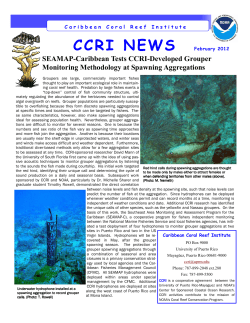 SEAMAP-Caribbean Tests CCRI-Developed Grouper Monitoring