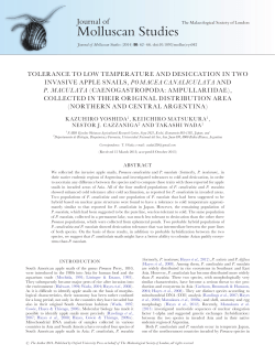 Molluscan Studies - Oxford Academic