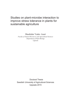 Studies on plant-microbe interaction to improve stress tolerance in