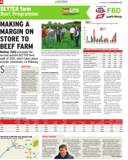 MAKING A MARGIN ON STORE TO BEEF FARM