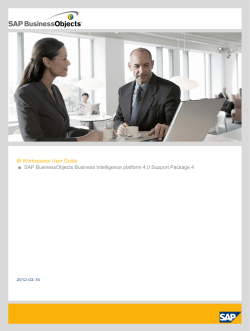 BI Workspaces User Guide