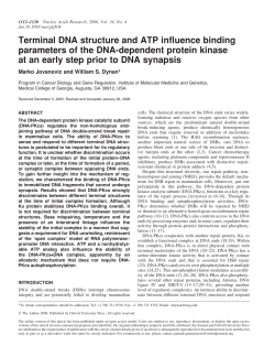 Terminal DNA structure and ATP influence