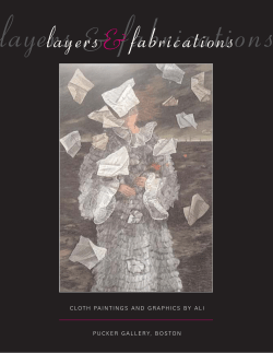 cloth paintings and graphics by ali pucker gallery, boston