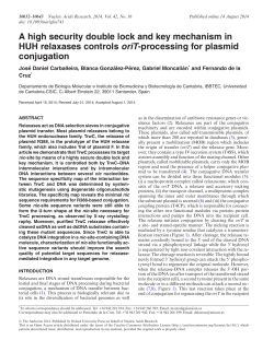 A high security double lock and key mechanism in HUH relaxases