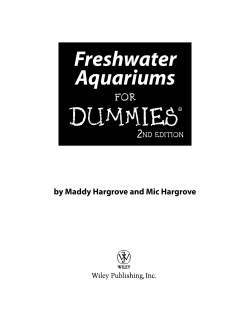 Freshwater Aquariums