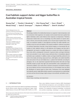 Cool habitats support darker and bigger butterflies in Australian