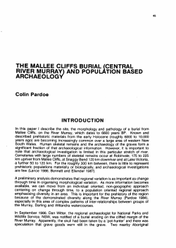 1988: The Mallee Cliffs burial (central River Murray) and population