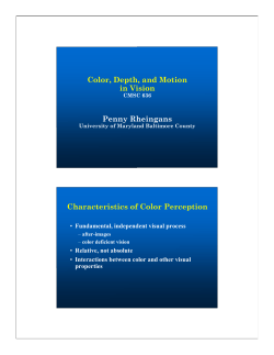 Color, Depth, and Motion in Vision Penny Rheingans