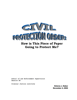 Civil Protection Orders - Criminal Justice Institute