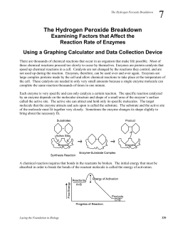 The Hydrogen Peroxide Breakdown