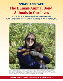 The Human-Animal Bond: Animals in Our Lives