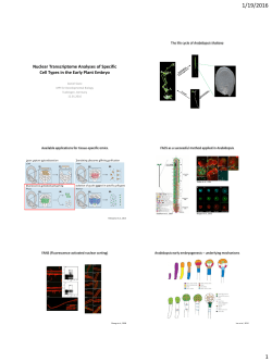 Nuclear Transcriptome Analyses of Specific Cell Types in the Early