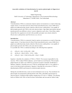 Hogewoning, S. Modified direct plate isolation of anaerobes from
