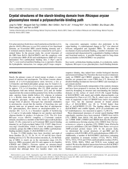 Crystal structures of the starch-binding domain from Rhizopus