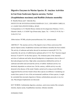 Digestive Enzymes in Marine Species. II. Amylase