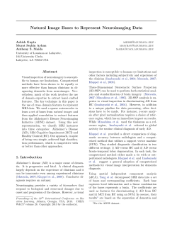 Natural Image bases to represent Neuroimaging data