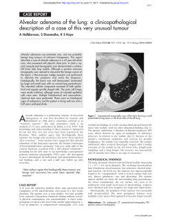 Alveolar adenoma of the lung: a clinicopathological description of a