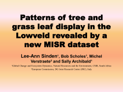 Important Metrics for Savanna Productivity