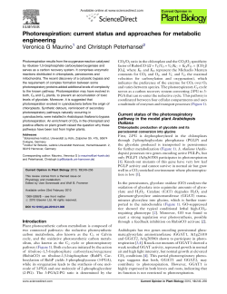 Photorespiration: current status and approaches for - iGRAD