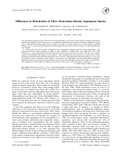 Differences in Rehydration of Three Desiccation