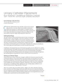 Urinary Catheter Placement for Feline Urethral