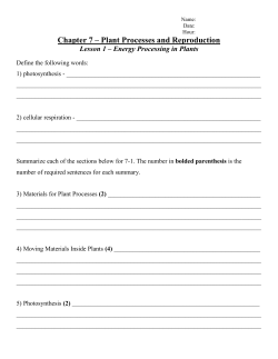 Chapter 7 &ndash; Plant Processes and Reproduction