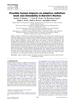 Possible human impacts on adaptive radiation