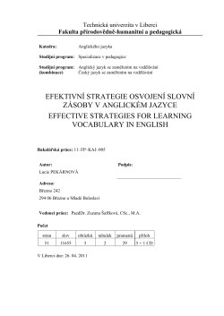 efektivn&iacute; strategie osvojen&iacute; slovn&iacute; z&aacute;soby v anglick&eacute;m