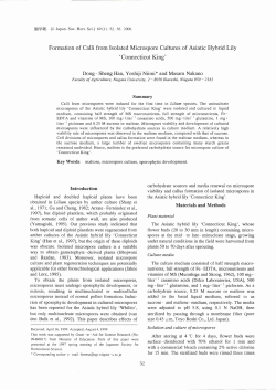 Formation of Calli from Isolated Microspore Cultures of