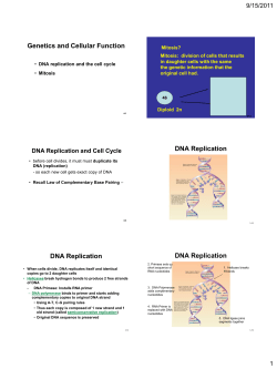 DNA Replication and Cell Cycle DNA Replication
