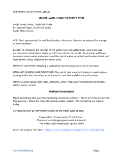 Living the Water Cycle