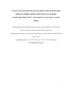 1 A NOVEL TWO-STEP PROCESS FOR THE PRODUCTION OF