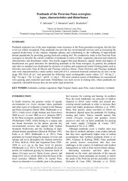 Peatlands of the Peruvian Puna ecoregion: types, characteristics