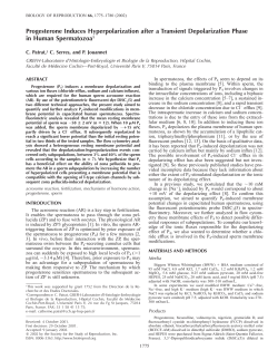 Progesterone Induces Hyperpolarization after a Transient