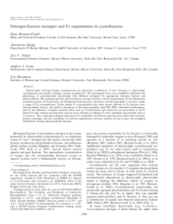 Berman-Frank, Ilana, Antonietta Quigg, Zoe V. Finkel, Andrew J