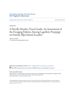 A Woolly Monkey Travel Guide: An Assessment of the Foraging